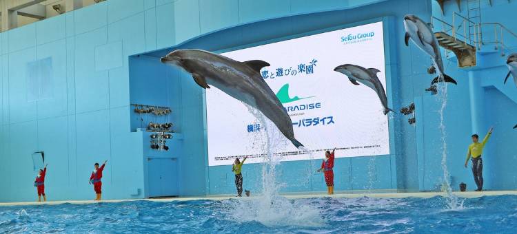 横滨樱木町雷索尔酒店(Hotel Resol Yokohama Sakuragicho)图片