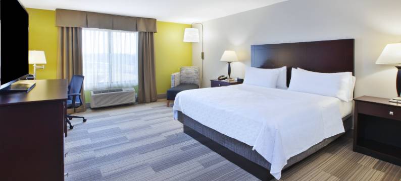 奈尔斯智选假日酒店(Holiday Inn Express & Suites NILES by IHG)图片