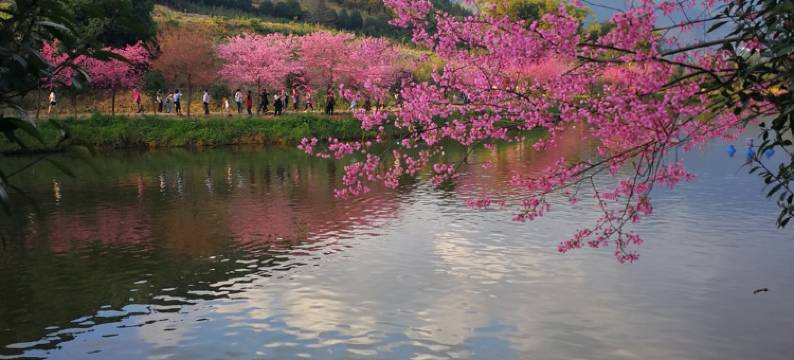 星语公寓温馨时尚近云门寺温泉高速(鹰峰东路分店)图片