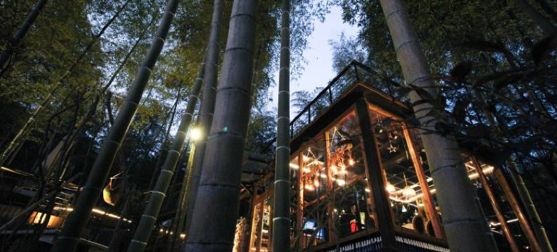 莫干山林溪别苑度假别墅图片