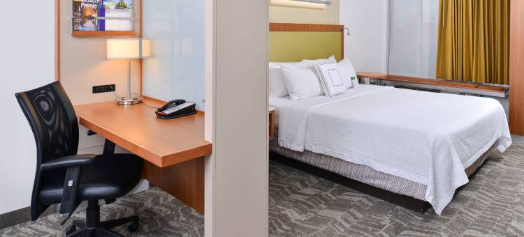 罗穆勒斯底特律都会机场万豪SpringHill酒店(SpringHill Suites Detroit Metro Airport Romulus)图片
