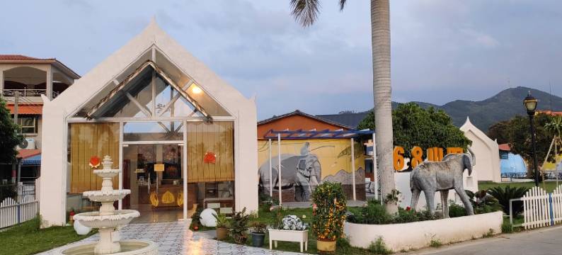 陈院长特色民宿(百花路2号分店)图片