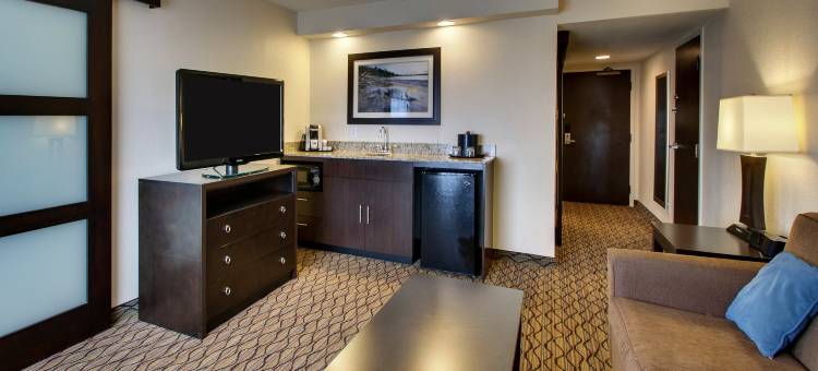 Holiday Inn Express 巴尔的摩 - BWI机场西(Holiday Inn Express Baltimore-BWI Airport West)图片