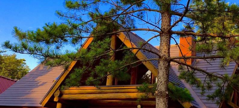 游轮咖啡厅&高级旅馆(Pension & Cafe Cruise)图片