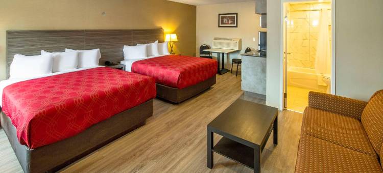 山麓汽车旅馆(Econo Lodge Inn & Suites)图片