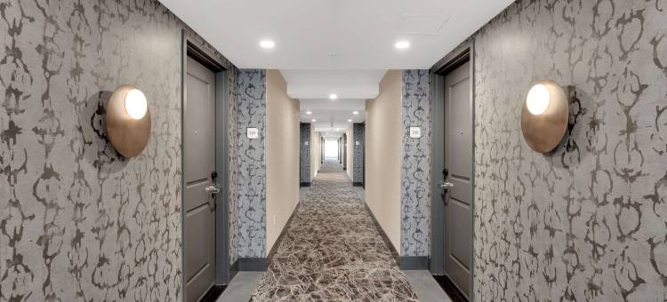 多伦多布兰普顿希尔顿花园旅馆(Hilton Garden Inn Toronto/Brampton)图片