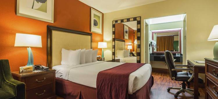 博卡－拉顿大学区凯艺酒店(Quality Inn Boca Raton University Area)图片