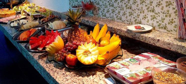 弗内克斯艾拉克酒店(Fenix Hotel Araxá)图片