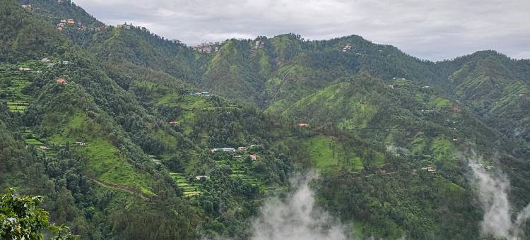 Alcor 的宁静客栈(Treebo Premium Tranquil Inn)图片