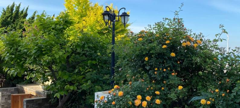 樱桃海景民宿(花园街2号分店)图片