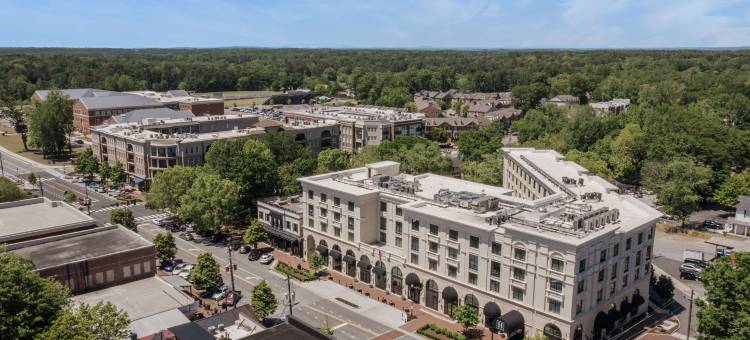 汉密尔顿阿尔普哈雷塔希尔顿格芮精选酒店(The Hamilton Alpharetta, Curio Collection by Hilton)图片
