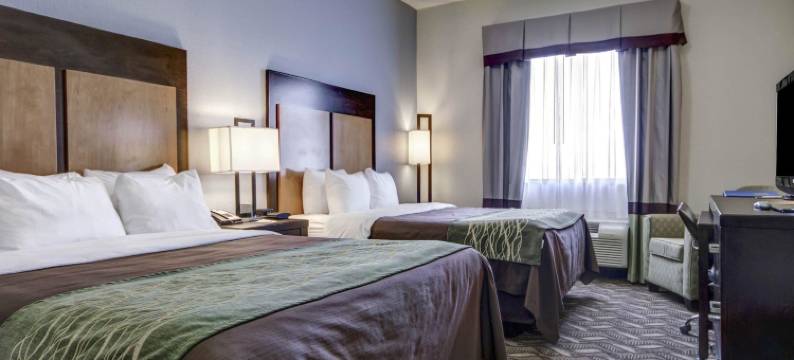 舒适套房酒店机场I-10(Comfort Inn & Suites I-10 Airport)图片