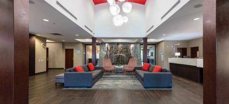 里弗波特列治文智选假日套房酒店(Holiday Inn Express & Suites Riverport Richmond by IHG)图片