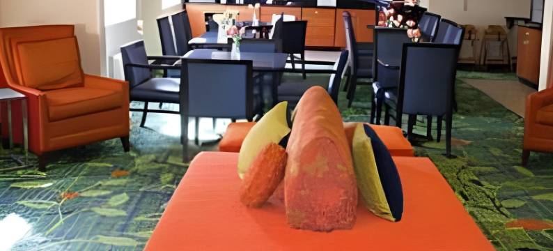 大急流城万枫酒店及套房(Fairfield Inn & Suites Grand Rapids)图片