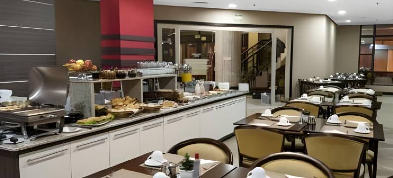 南卡希亚斯天鹅酒店(Swan Caxias do Sul)图片