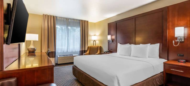 费尔菲尔德纳帕谷区舒适酒店(Comfort Inn Fairfield Napa Valley Area)图片