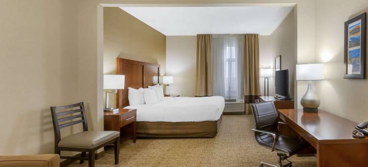 杰罗姆舒适套房酒店-双子瀑布(Comfort Inn & Suites Jerome - Twin Falls)图片