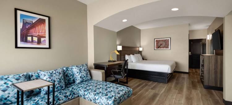 冈萨雷斯拉昆塔温德姆套房酒店(La Quinta Inn & Suites by Wyndham Gonzales La)图片