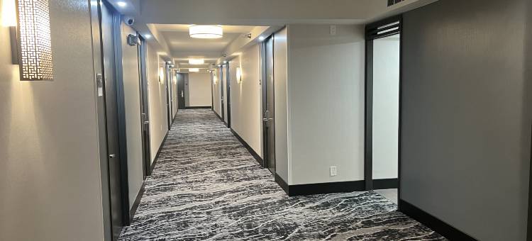 洲际酒店集团旗下纳什维尔市中心体育场假日酒店(Holiday Inn Nashville Downtown - Stadium)图片