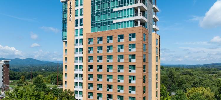 阿什维尔市中心英迪格酒店(Hotel Indigo Asheville Downtown)图片