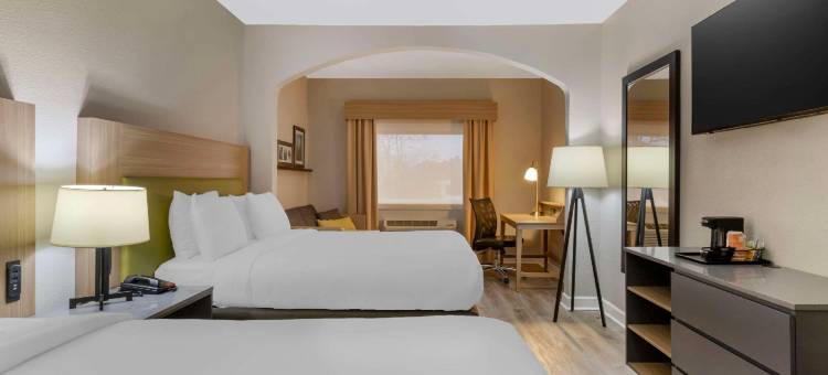 舒适套房-申纳多亚-伍德兰兹(Country Inn & Suites by Radisson, The Woodlands)图片