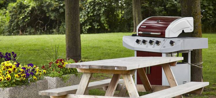 凯洛拉舒适酒店(Comfort Inn)图片