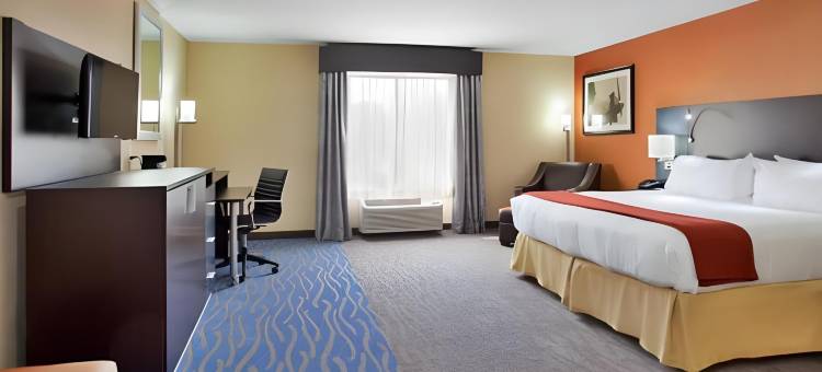 智选假日套房酒店圣路易斯NE - 兰伯特现场(Holiday Inn Express & Suites ST Louis Airport)图片