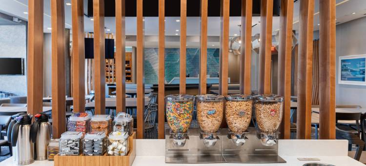 尔湾森林湖SpringHill Suites套房酒店(SpringHill Suites Irvine Lake Forest)图片