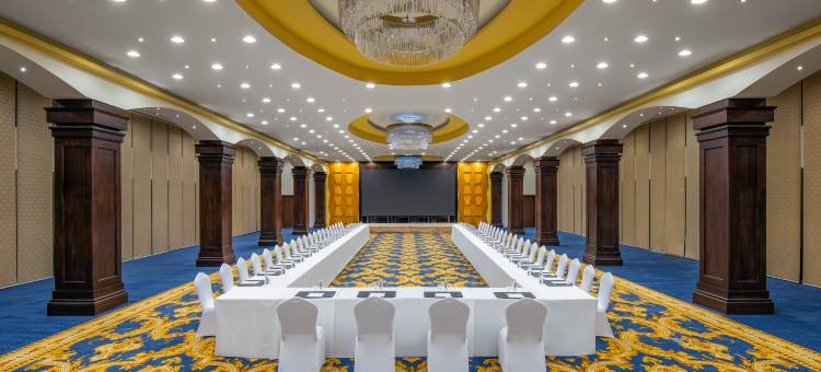 塔伊夫洲际酒店(InterContinental Hotels Taif)图片