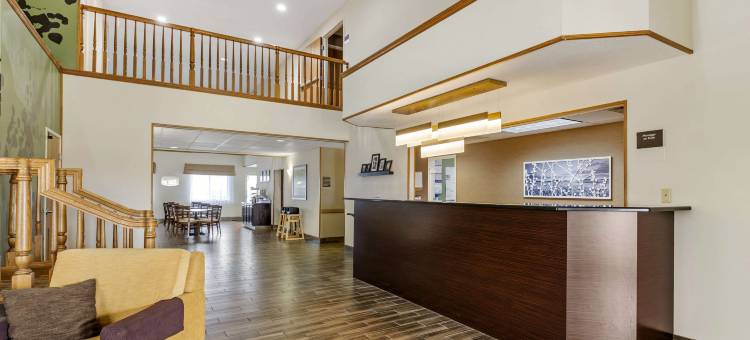 安眠套房酒店(Sleep Inn & Suites)图片