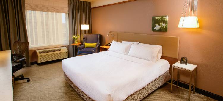 罗切斯特市区希尔顿花园酒店(Hilton Garden Inn Rochester Downtown)图片