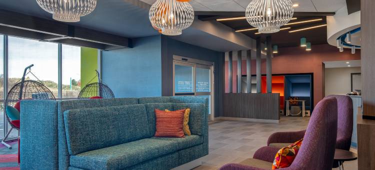 希尔顿 Tru 安德森(Tru by Hilton Anderson)图片