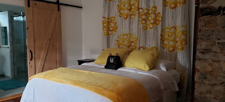 Hike in Shenandoah National Park This June!图片