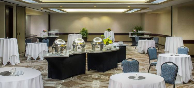 凯悦酒店-布法罗会议中心(Hyatt Regency Buffalo Hotel and Conference Center)图片