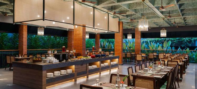 Morickap Lords 83图片