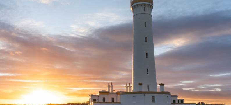 Harbour Nights 7E图片