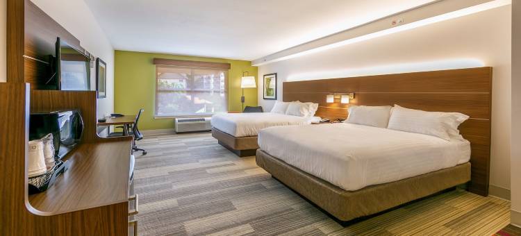 Holiday Inn Express 加特林堡(Holiday Inn Express Gatlinburg Downtown)图片