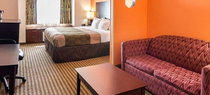 纳基伊克诺旅馆及套房(Econo Lodge Inn & Suites Natchitoches)图片