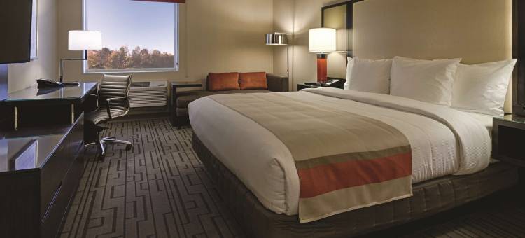 康涅狄格州布里斯托希尔顿逸林酒店(DoubleTree by Hilton Bristol)图片