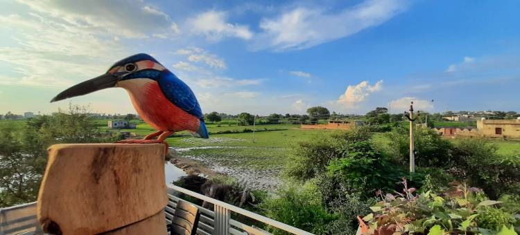 宜必思农场住宿酒店(IbisHouse Farm Stay)图片