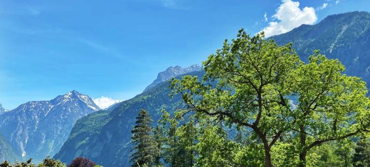 欧伯兰酒店(Hôtel Oberland)图片