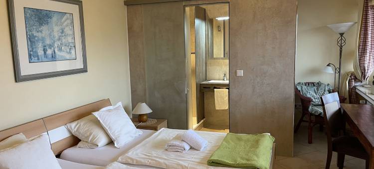 坎布里努斯阿尔斯贝格酒店(Hotel Gambrinus Arnsberg)图片