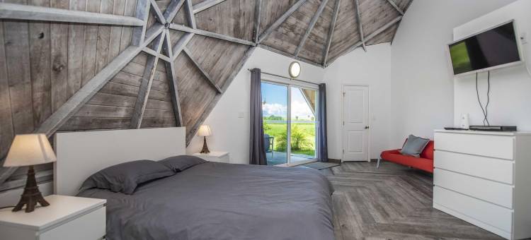 工作室01 - 桑纳湖(Studio 01 - Lake Sumner)图片