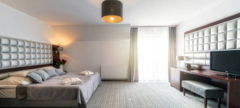 萨德斯基帝沃尔酒店(Sądelski Dwór Medical & Spa)图片