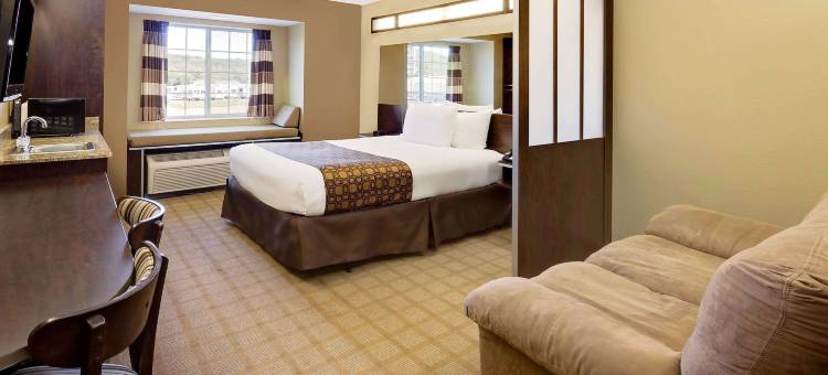 普雷里德欣麦客达温德姆酒店(Microtel Inn & Suites by Wyndham Prairie du Chien)图片