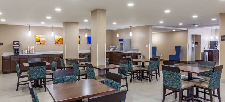 春之湖 - 费耶特维尔自由堡附近舒适套房酒店(Comfort Inn & Quality Suites)图片
