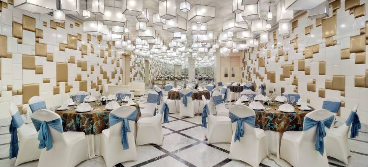 新德里帕池豪尔丽笙酒店(Radisson Hotel New Delhi Paschim Vihar)图片