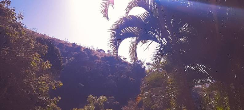 阿拉拉旅馆瓦伦萨 - 里约热内卢(Pousada Arara Valença - RJ)图片