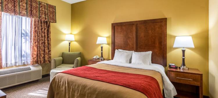 布朗斯维尔I-40舒适酒店(Comfort Inn Brownsville I-40)图片