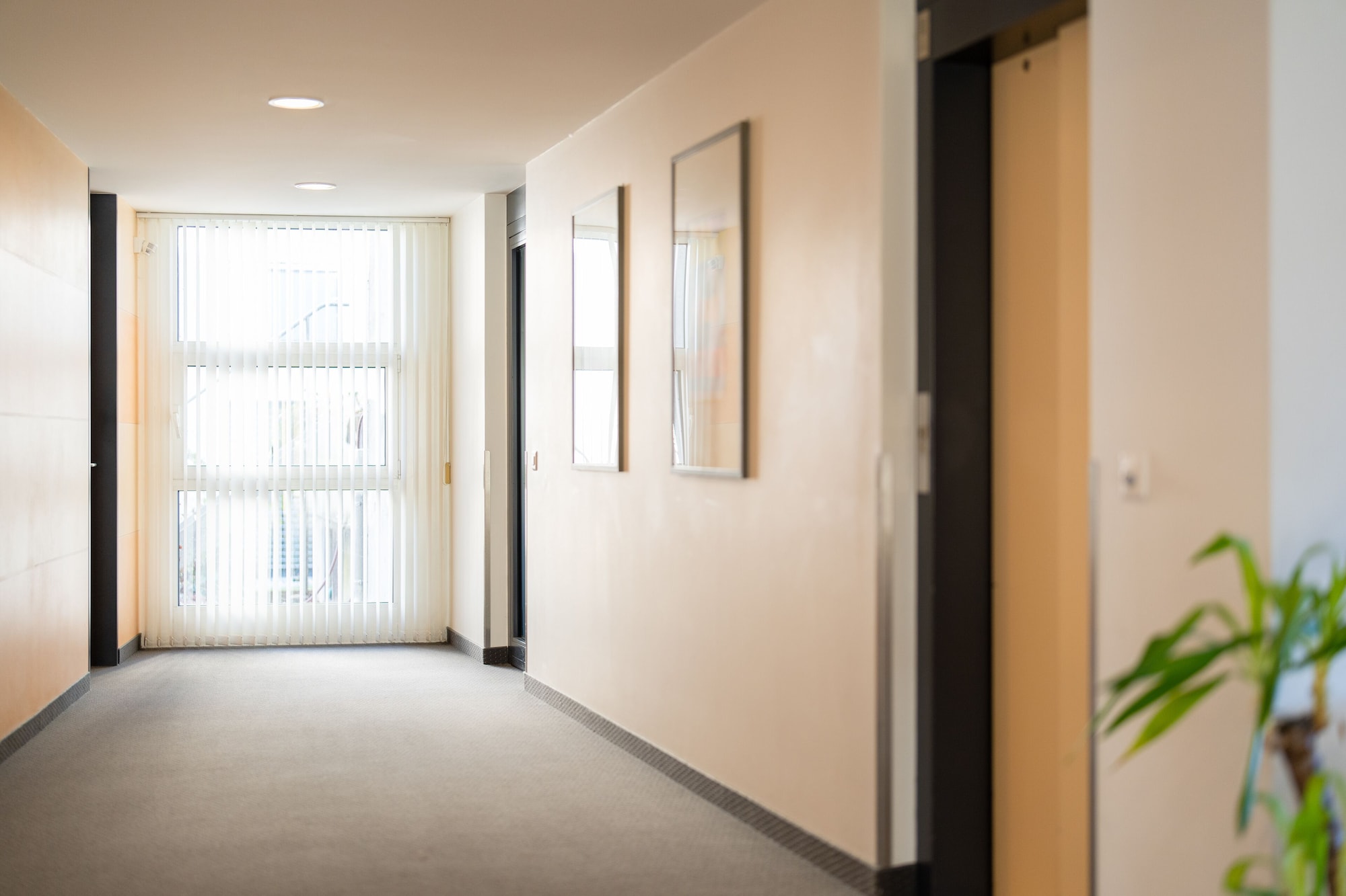 Hotel Schatzmann Over view